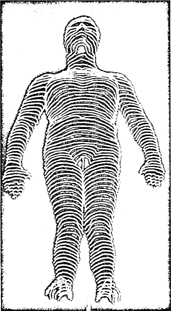Image of an Optical Replica of the Human Body